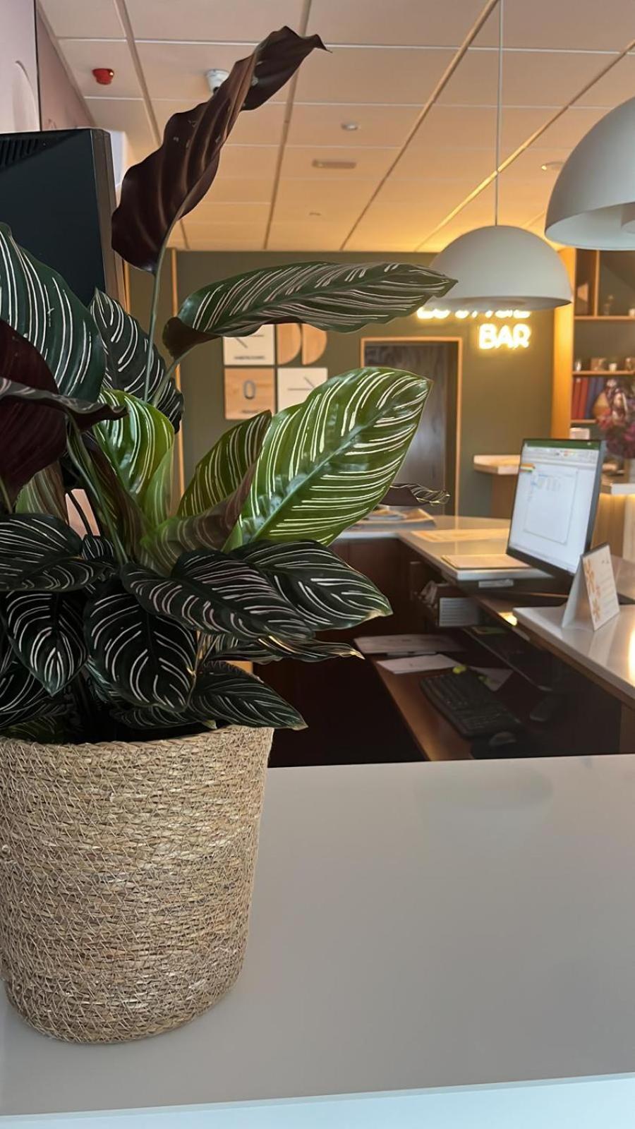Hotel La Basilica Venta De Banos Ngoại thất bức ảnh